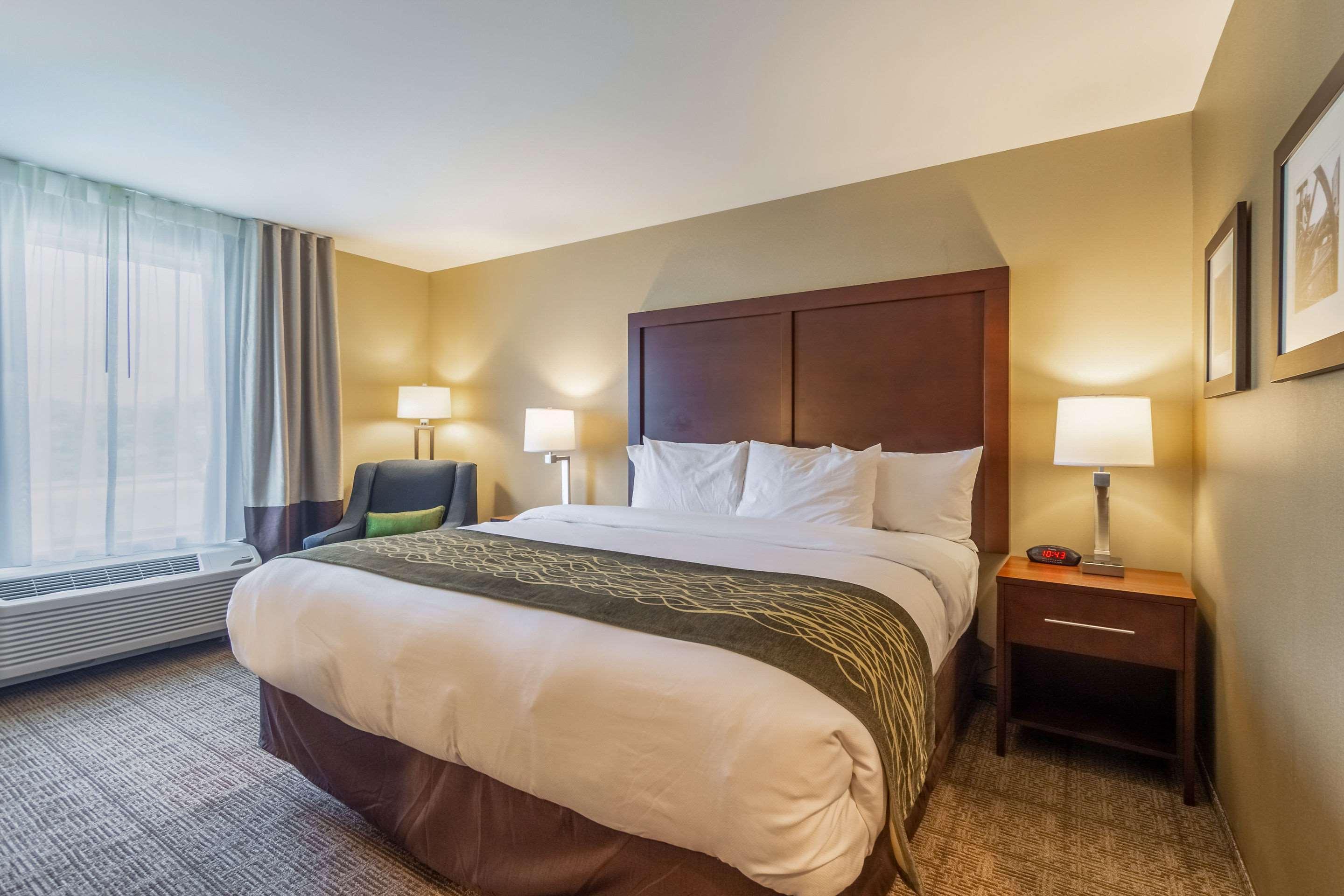 Comfort Inn & Suites - Harrisburg Airport - Hershey South Middletown  Экстерьер фото